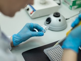 Химический «скальпель» для анализа ДНК и уничтожения опасных патогенов создали российские ученые. Фото предоставлено О.Ю. Арамовой