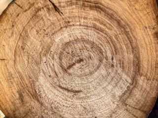 Изображение: Фотобанк Freepik