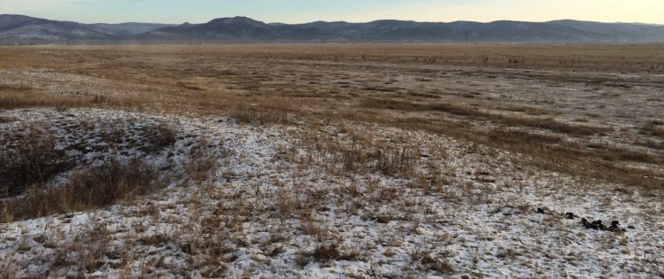 Ононская впадина, Забайкальский край. Фото предоставлено В.В. Оленченко