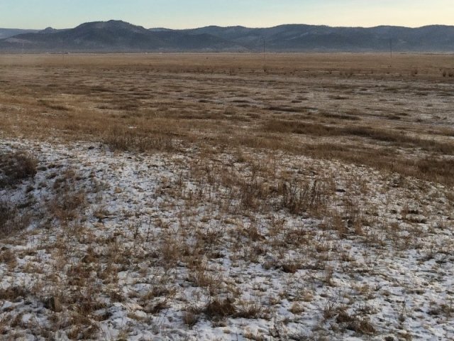 Фото В.В. Оленченко