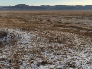 Фото В.В. Оленченко