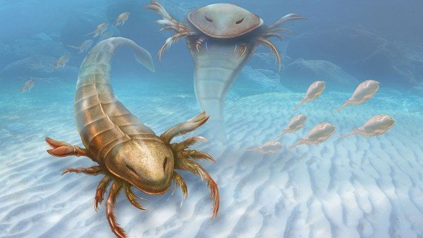 Древнейшие морские скорпионы были огромными