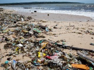 Чтобы очистить океан от пластика, нужно собирать его у берегов
