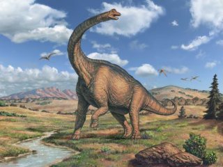 Стратегии роста гигантских динозавров