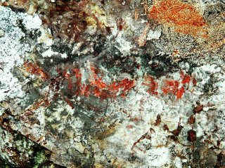 © А.М. Жульников/пресс-служба ПетрГУ