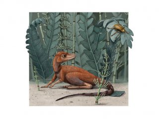Обнаружен крошечный предок динозавров и птерозавров
