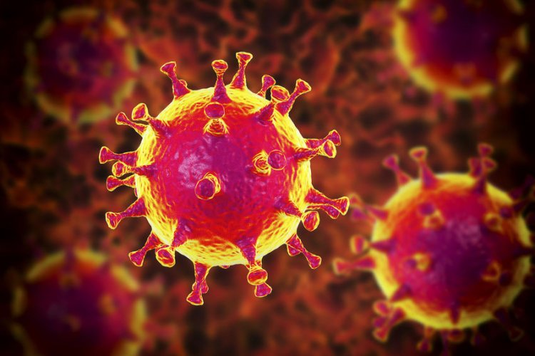 Изображение: drmicrobe/Фотобанк RU.123.RF