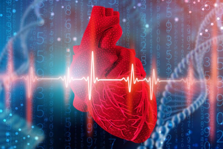 Сердечные клапаны, созданные в лаборатории, могут расти вместе с реципиентом