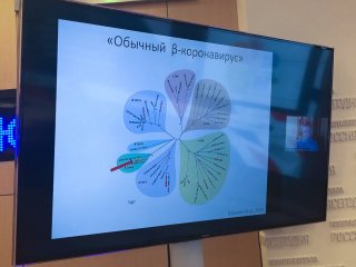 Академии наук России и Беларуси: вместе против COVID-19…