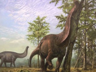 Крупнейшие динозавры предпочитали теплый климат