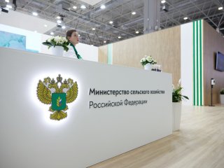 Выставка "Золотая осень" 2022 г. Фото: Елена Либрик / Научная Россия