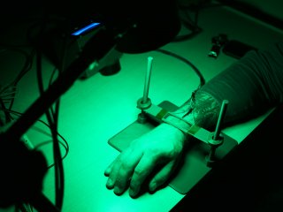 Экспериментальное исследование перфузии крови пациента во время выполнения теплового теста с помощью метода визуализирующей фотоплетизмографии