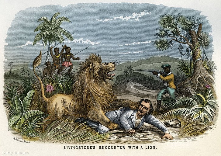 Встреча исследователя Давида Ливингстона со львом в Африке в 1845 г. — выжил. Источник: Национальная фототека истории / Getty Images Hungary / Index