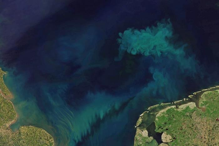 Исследование: цвет океана меняется из-за изменения климата