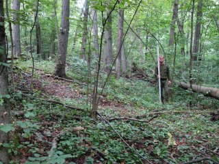 Вал городища. Источник: © Государственный музей-заповедник «Куликово поле»