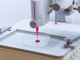 Исследователи напечатали на 3D-принтере небольшие шарики из геля с клетками внутри. Фото: Magnus Johansson/Linköping University