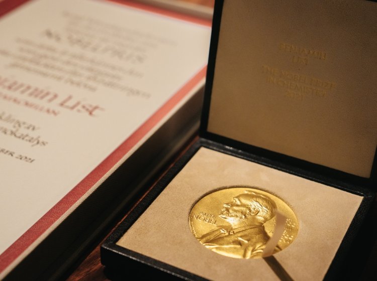 Медаль и диплом нобелевского лауреата. Фото: Clément Morin / © Nobel Prize Outreach