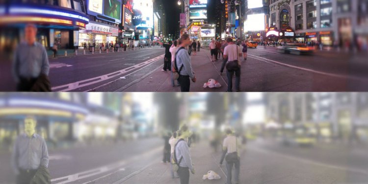 Мир глазами человека (сверху) и кошки (снизу)