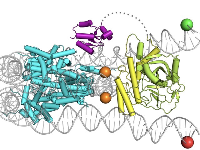 Источник Дмитрий Нилов
