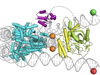 Источник Дмитрий Нилов