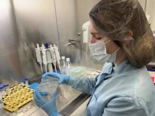 Источник фото: ФИЦ Биотехнологии РАН