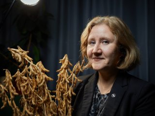 От сои до пшеницы: достижения отечественной селекции. Лекция профессора РАН Екатерины Журавлевой. Фото: Елена Либрик / «Научная Россия» / архив