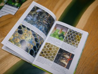 Фото: Елена Либрик / «Научная Россия» 