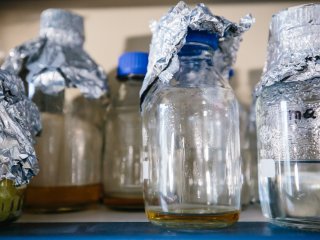 В лаборатории структурно-функциональной организации хромосом Института биологии гена РАН. Фото: Ольга Мерзлякова / «Научная Россия»