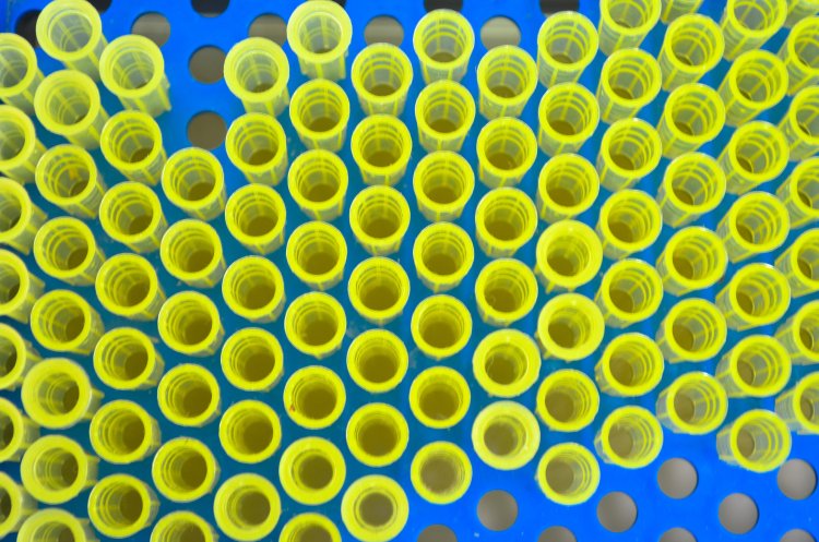 Источник ru.123rf.com