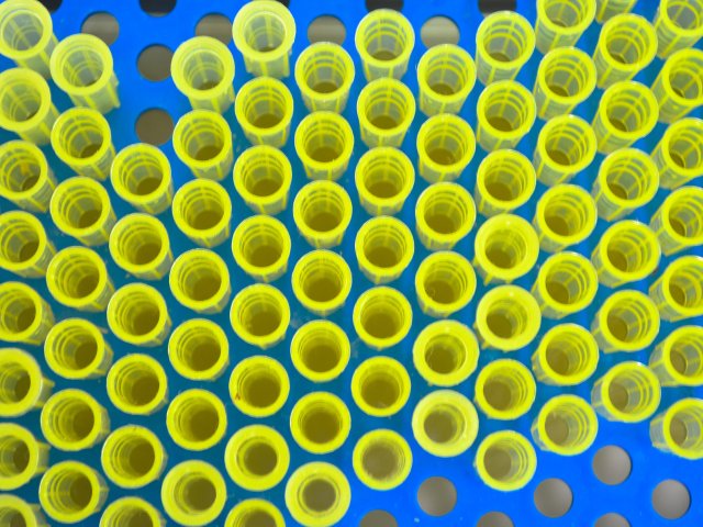 Источник ru.123rf.com