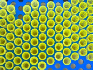 Источник ru.123rf.com