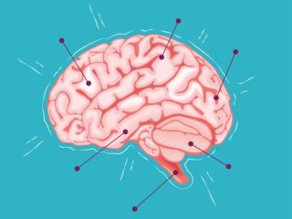 Изображение: Фотобанк Freepik