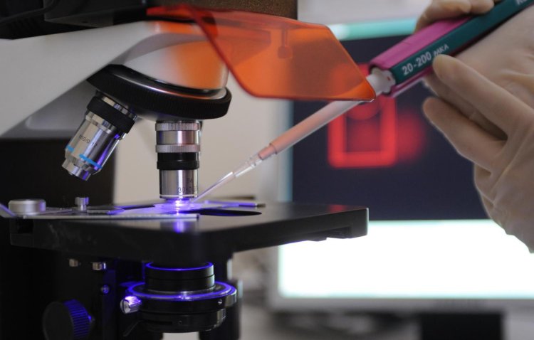 © Максим Шеметов/ ТАСС