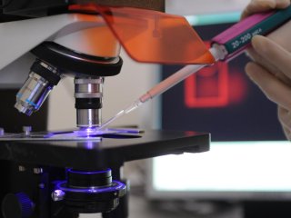 © Максим Шеметов/ ТАСС