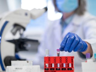 Изображение: Фотобанк Freepik