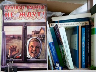 Фото Ольги Мерзляковой