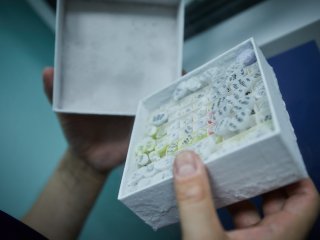 Хранение препаратов требует низких температур. Фото: Елена Либрик / «Научная Россия»