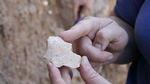 В Турции найдены следы раннего Homo habilis