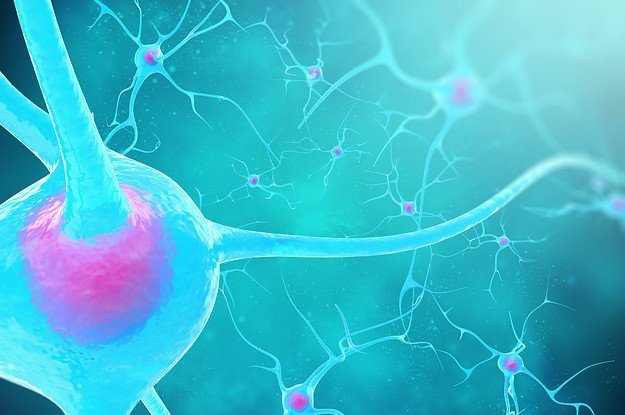 Воздействие на нервные клетки позволит лечить самые разные болезни