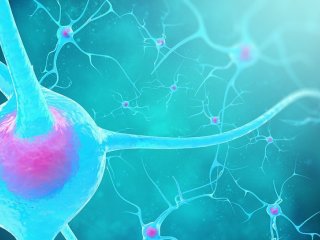 Воздействие на нервные клетки позволит лечить самые разные болезни