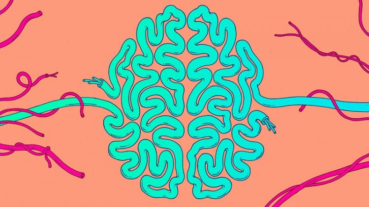 Как ИИ может показать и имитировать процесс обучения живого мозга