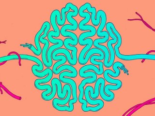 Как ИИ может показать и имитировать процесс обучения живого мозга