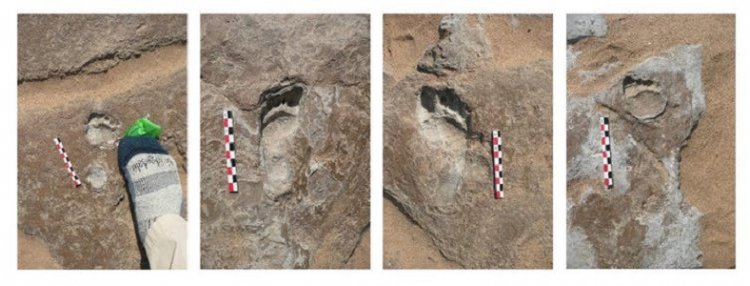 Древние следы рассказали, каково быть ребенком в эпоху палеолита