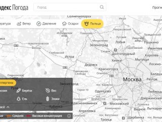 Яндекс.Погода представила карту пыльцы для аллергиков