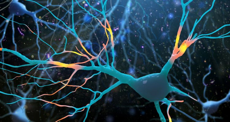 Кетамин обеспечивает появление новых связей между нервными клетами