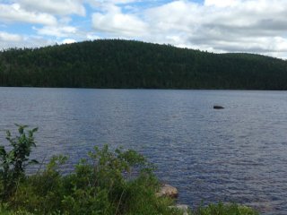 В озерных отложениях в Канаде превышены допустимые дозы пестицидов