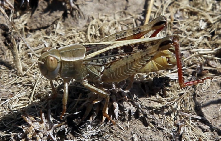 Фото Михаила Сергеева