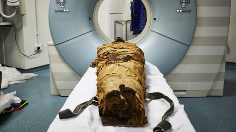Древняя мумия заговорила с помощью 3-D печати голосового тракта