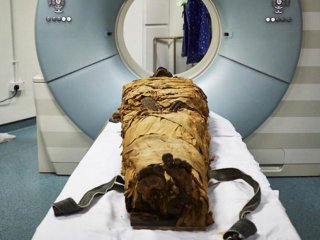 Древняя мумия заговорила с помощью 3-D печати голосового тракта