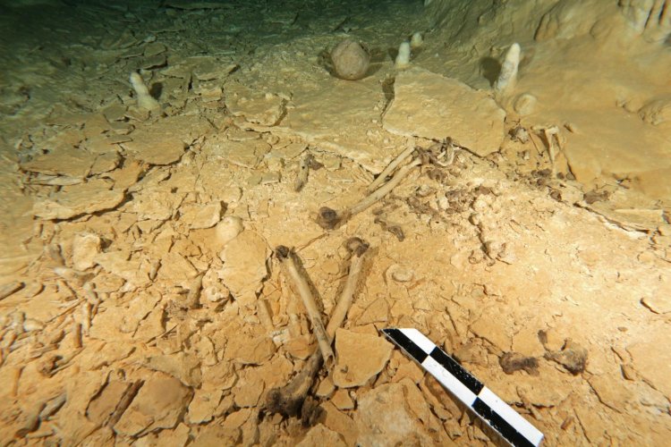В затопленной мексиканской пещере найден очередной доисторический скелет